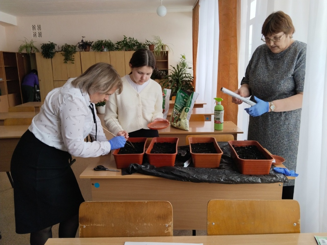 «Посадка семян для выращивания рассады цветов».
