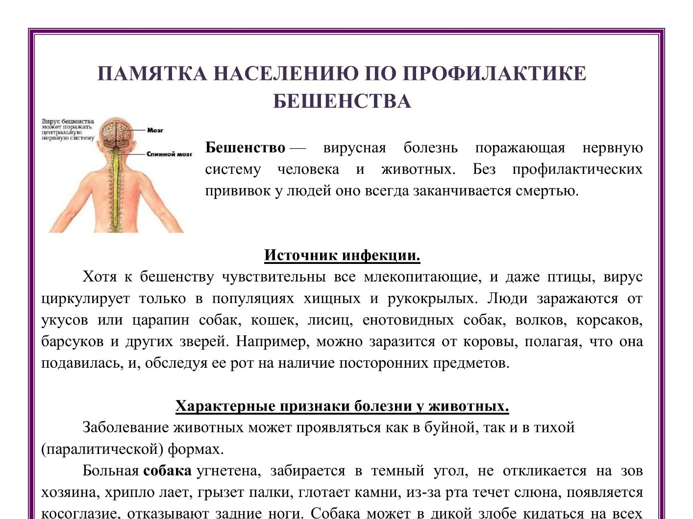 Профилактика и недопущение заболевания людей бешенством.